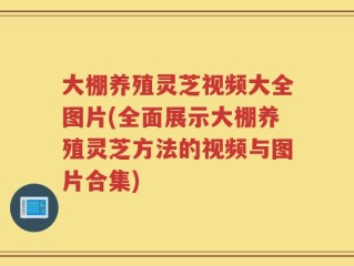 大棚养殖灵芝视频大全图片(全面展示大棚养殖灵芝方法的视频与图片合集)