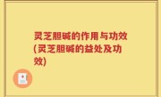 灵芝胆碱的作用与功效(灵芝胆碱的益处及功效)