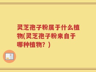 灵芝孢子粉属于什么植物(灵芝孢子粉来自于哪种植物？)