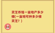 灵芝养殖一亩地产多少棵(一亩地可种多少棵灵芝？)