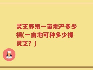 灵芝养殖一亩地产多少棵(一亩地可种多少棵灵芝？)