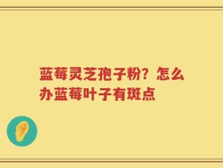 蓝莓灵芝孢子粉？怎么办蓝莓叶子有斑点