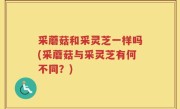 采蘑菇和采灵芝一样吗(采蘑菇与采灵芝有何不同？)