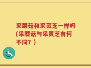 采蘑菇和采灵芝一样吗(采蘑菇与采灵芝有何不同？)