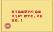 野生桑黄灵芝粉(桑黄灵芝粉：原生态，更有营养。)