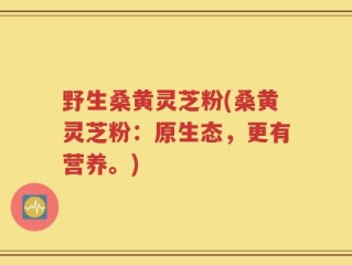 野生桑黄灵芝粉(桑黄灵芝粉：原生态，更有营养。)