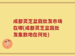 成都灵芝盆栽批发市场在哪(成都灵芝盆栽批发集散地在何处)