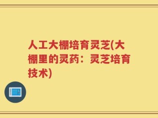人工大棚培育灵芝(大棚里的灵药：灵芝培育技术)
