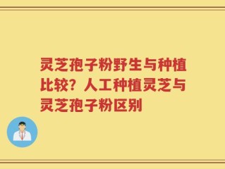 灵芝孢子粉野生与种植比较？人工种植灵芝与灵芝孢子粉区别