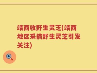 靖西收野生灵芝(靖西地区采摘野生灵芝引发关注)