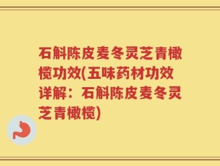石斛陈皮麦冬灵芝青橄榄功效(五味药材功效详解：石斛陈皮麦冬灵芝青橄榄)