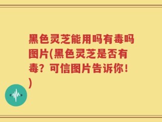 黑色灵芝能用吗有毒吗图片(黑色灵芝是否有毒？可信图片告诉你！)
