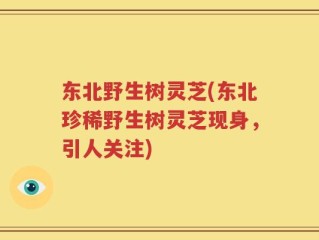 东北野生树灵芝(东北珍稀野生树灵芝现身，引人关注)