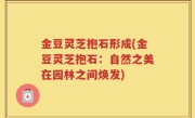 金豆灵芝抱石形成(金豆灵芝抱石：自然之美在园林之间焕发)