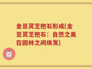 金豆灵芝抱石形成(金豆灵芝抱石：自然之美在园林之间焕发)