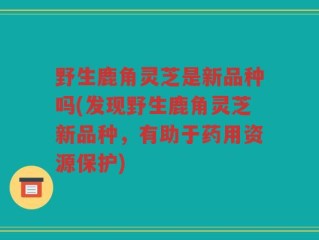 野生鹿角灵芝是新品种吗(发现野生鹿角灵芝新品种，有助于药用资源保护)