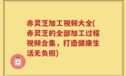 赤灵芝加工视频大全(赤灵芝的全部加工过程视频合集，打造健康生活无负担)