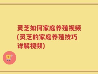 灵芝如何家庭养殖视频(灵芝的家庭养殖技巧详解视频)