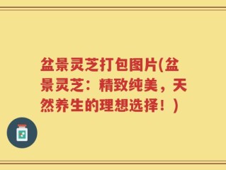 盆景灵芝打包图片(盆景灵芝：精致纯美，天然养生的理想选择！)