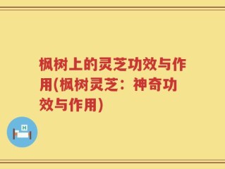 枫树上的灵芝功效与作用(枫树灵芝：神奇功效与作用)