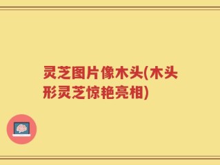 灵芝图片像木头(木头形灵芝惊艳亮相)