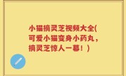 小猫摘灵芝视频大全(可爱小猫变身小药丸，摘灵芝惊人一幕！)