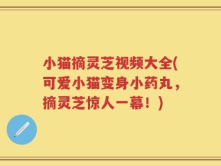 小猫摘灵芝视频大全(可爱小猫变身小药丸，摘灵芝惊人一幕！)