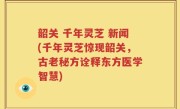 韶关 千年灵芝 新闻(千年灵芝惊现韶关，古老秘方诠释东方医学智慧)