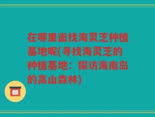 在哪里面找海灵芝种植基地呢(寻找海灵芝的种植基地：探访海南岛的高山森林)