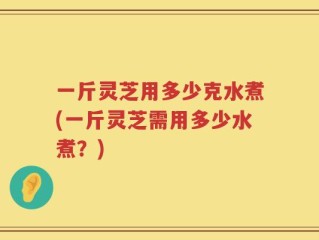 一斤灵芝用多少克水煮(一斤灵芝需用多少水煮？)