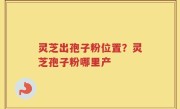 灵芝出孢子粉位置？灵芝孢子粉哪里产