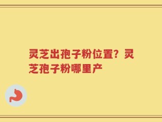灵芝出孢子粉位置？灵芝孢子粉哪里产