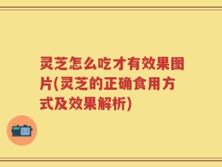 灵芝怎么吃才有效果图片(灵芝的正确食用方式及效果解析)