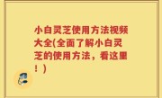 小白灵芝使用方法视频大全(全面了解小白灵芝的使用方法，看这里！)