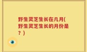 野生灵芝生长在几月(野生灵芝生长的月份是？)