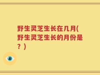 野生灵芝生长在几月(野生灵芝生长的月份是？)