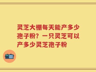 灵芝大棚每天能产多少孢子粉？一只灵芝可以产多少灵芝孢子粉