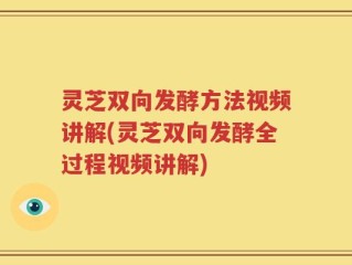 灵芝双向发酵方法视频讲解(灵芝双向发酵全过程视频讲解)