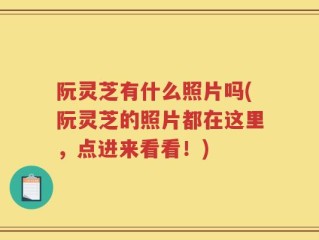 阮灵芝有什么照片吗(阮灵芝的照片都在这里，点进来看看！)