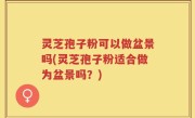 灵芝孢子粉可以做盆景吗(灵芝孢子粉适合做为盆景吗？)