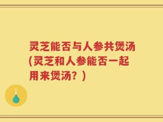 灵芝能否与人参共煲汤(灵芝和人参能否一起用来煲汤？)