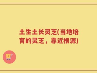 土生土长灵芝(当地培育的灵芝，靠近根源)