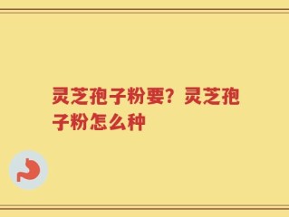 灵芝孢子粉要？灵芝孢子粉怎么种