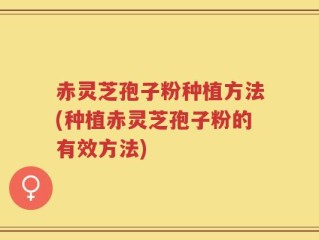 赤灵芝孢子粉种植方法(种植赤灵芝孢子粉的有效方法)