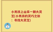 小男孩上山采一颗大灵芝(小男孩的灵巧之旅：寻找大灵芝)