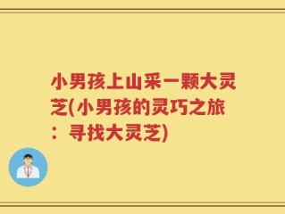 小男孩上山采一颗大灵芝(小男孩的灵巧之旅：寻找大灵芝)