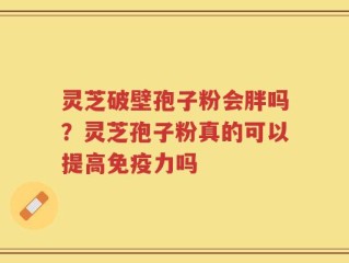 灵芝破壁孢子粉会胖吗？灵芝孢子粉真的可以提高免疫力吗
