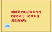 博树灵芝的功效与作用(博树灵芝：功效与作用全面解析)