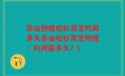 乐山种植松杉灵芝时间多久乐山松杉灵芝种植：时间需多久？)