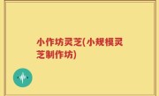 小作坊灵芝(小规模灵芝制作坊)